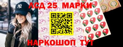 2c-b Камышлов